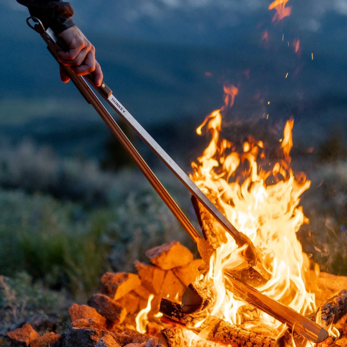Donkey Long Tong - For Fire